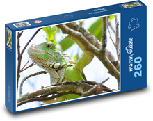 Iguana - reptile, animal Puzzle 260 pieces - 41 x 28.7 cm 