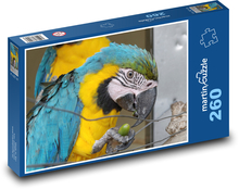 Parrot - Ara, Bird Puzzle 260 pieces - 41 x 28.7 cm 