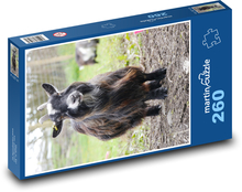 Dwarf goat - farm animal, farm Puzzle 260 pieces - 41 x 28.7 cm 