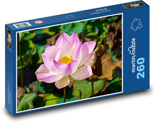 Lotus - flower, flower Puzzle 260 pieces - 41 x 28.7 cm 