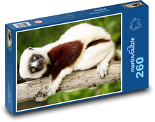 Lemur - zvíře, Madagaskar Puzzle 260 dílků - 41 x 28,7 cm