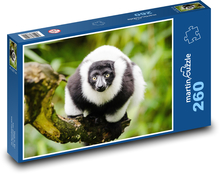 Lemur - zblízka, zvíře Puzzle 260 dílků - 41 x 28,7 cm
