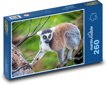 Lemur - opice, primát Puzzle 260 dílků - 41 x 28,7 cm