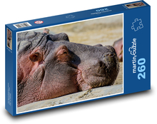 Hroch - zvíře, zoo Puzzle 260 dílků - 41 x 28,7 cm