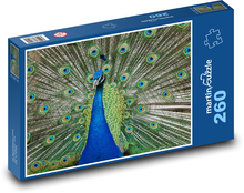 Paw - zwierzęce, pawie pióra Puzzle 260 elementów - 41x28,7 cm