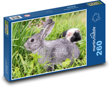 Králik - zviera, hlodavec Puzzle 260 dielikov - 41 x 28,7 cm 