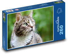 Cat - pet, animal Puzzle 260 pieces - 41 x 28.7 cm 