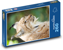 Lynx - wild cat, mammal Puzzle 260 pieces - 41 x 28.7 cm 