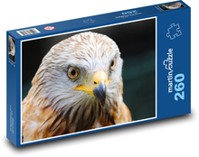 Buzzard - zviera, vták Puzzle 260 dielikov - 41 x 28,7 cm
