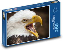 Sea eagle - predator, bird Puzzle 260 pieces - 41 x 28.7 cm 