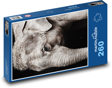 Elephant - safari, animal Puzzle 260 pieces - 41 x 28.7 cm 