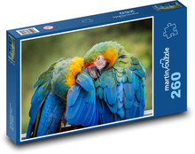 Papoušek - pták, zvíře Puzzle 260 dílků - 41 x 28,7 cm