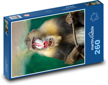 Pavián - opice, Afrika Puzzle 260 dielikov - 41 x 28,7 cm 