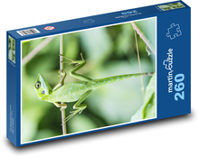 Lizard - reptile, animal Puzzle 260 pieces - 41 x 28.7 cm 