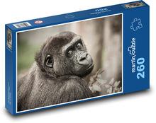 Gorilla - animal, mammal Puzzle 260 pieces - 41 x 28.7 cm