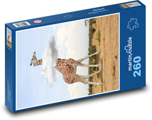 Giraffe - animal, cloud Puzzle 260 pieces - 41 x 28.7 cm 