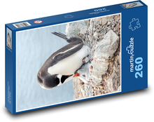 Pingwin - ptak, zwierzę Puzzle 260 elementów - 41x28,7 cm