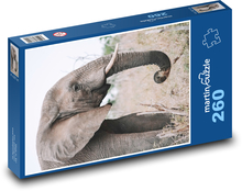 Elephant - animal, mammal Puzzle 260 pieces - 41 x 28.7 cm 