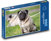 Mops - pes, zviera Puzzle 260 dielikov - 41 x 28,7 cm 