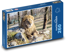 Lev - zvíře, hříva Puzzle 260 dílků - 41 x 28,7 cm