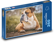 Bulldog - dog, animal Puzzle 260 pieces - 41 x 28.7 cm 
