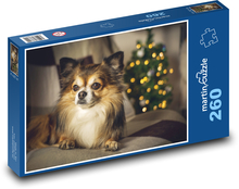 Chihuahua - pies, zwierzak Puzzle 260 elementów - 41x28,7 cm