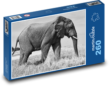 Elephant - animal, Safari Puzzle 260 pieces - 41 x 28.7 cm 