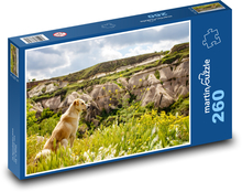 Pes - príroda, krajina Puzzle 260 dielikov - 41 x 28,7 cm 