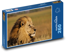 Lew - król dżungli, ssak Puzzle 260 elementów - 41x28,7 cm