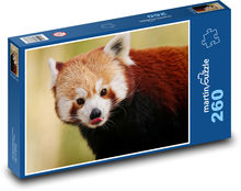 Red panda - animal, bear Puzzle 260 pieces - 41 x 28.7 cm 