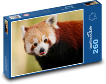 Panda červená - zvíře, medvěd Puzzle 260 dílků - 41 x 28,7 cm