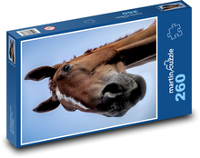 Pferd - Hengst, Mähne Puzzle 260 Teile - 41 x28,7 cm