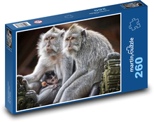 Monkey - primate, mammal Puzzle 260 pieces - 41 x 28.7 cm 