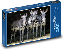 Zebry - zvířata, zoo Puzzle 260 dílků - 41 x 28,7 cm