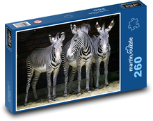 Zebry - zvieratá, zoo Puzzle 260 dielikov - 41 x 28,7 cm 