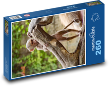 Małpa - zoo, pisklę Puzzle 260 elementów - 41x28,7 cm