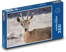 Capricorn - animal, chick Puzzle 260 pieces - 41 x 28.7 cm