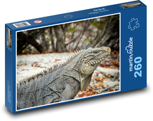 Leguán - ještěrka, plaz Puzzle 260 dílků - 41 x 28,7 cm