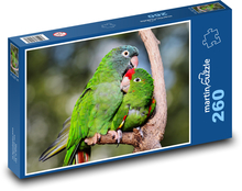 Parrots - birds, animals Puzzle 260 pieces - 41 x 28.7 cm 