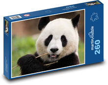 Panda - zvíře, savec Puzzle 260 dílků - 41 x 28,7 cm