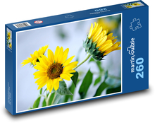 Slunečnice - žluté květy Puzzle 260 dílků - 41 x 28,7 cm