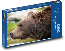 Brown bear - Grizzly Puzzle 260 pieces - 41 x 28.7 cm 