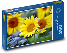 Slunečnice - žlutý květ Puzzle 260 dílků - 41 x 28,7 cm