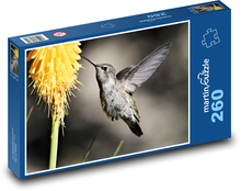 Kolibřík - pták Puzzle 260 dílků - 41 x 28,7 cm