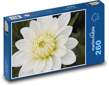 Biely kvet dahlia Puzzle 260 dielikov - 41 x 28,7 cm 