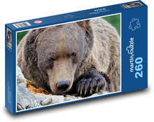 Brown Bear Puzzle 260 pieces - 41 x 28.7 cm 