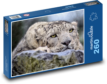 Sněžný leopard  Puzzle 260 dílků - 41 x 28,7 cm