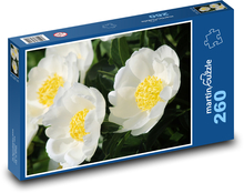 Bílé pivoňky Puzzle 260 dílků - 41 x 28,7 cm