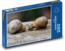 Šneci - zvířata, ulita  Puzzle 260 dílků - 41 x 28,7 cm