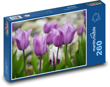 Purple tulips - spring flowers, garden Puzzle 260 pieces - 41 x 28.7 cm 